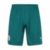 Blitzangebot ???? PUMA® Manchester City Shorts 2021/2022 Herren Grün/ Weiß ????